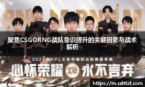 bg大游直营