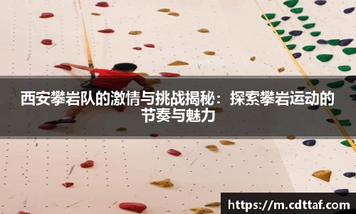 BG大游唯一官网