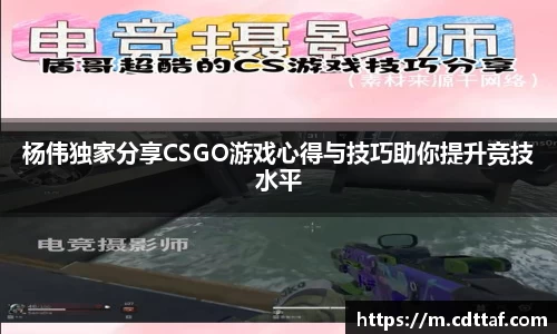 bg大游直营